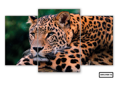 Tríptico escalonado Leopardos 46 - comprar online