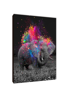 Elefantes 52 - comprar online
