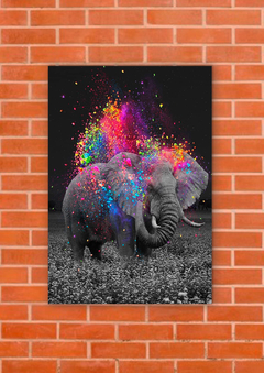Elefantes 52 - tienda online