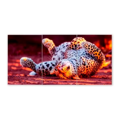 Tríptico simple Leopardos 53