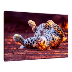 Leopardos 53