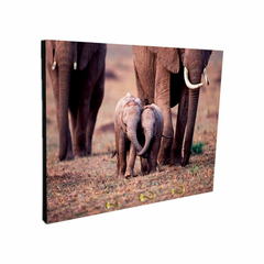 Portallaves de pared Elefantes 53