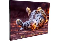 Portallaves de pared Leopardos 53 - comprar online