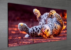 Tríptico simple Leopardos 53 en internet