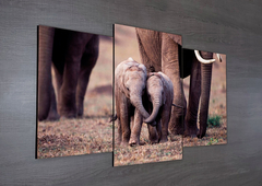 Tríptico escalonado Elefantes 53 - comprar online