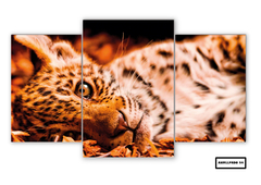 Tríptico escalonado Leopardos 54 - comprar online