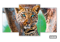 Tríptico escalonado Leopardos 55 - comprar online