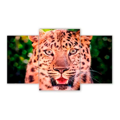 Tríptico escalonado Leopardos 57