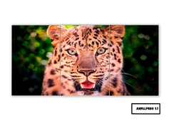 Tríptico simple Leopardos 57 - comprar online