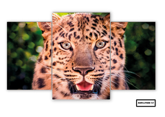 Tríptico escalonado Leopardos 57 - comprar online