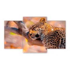 Tríptico escalonado Leopardos 58