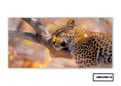 Tríptico simple Leopardos 58 - comprar online