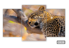 Tríptico escalonado Leopardos 58 - comprar online