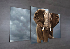 Tríptico escalonado Elefantes 58 - comprar online