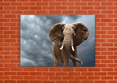 Elefantes 58 - tienda online