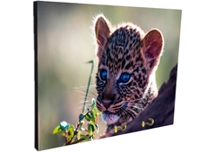 Portallaves de pared Leopardos 59 - comprar online