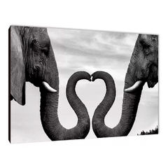 Elefantes 6