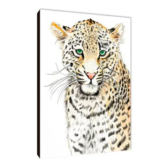 Leopardos 60