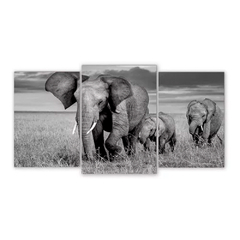 Tríptico escalonado Elefantes 60