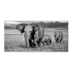 Tríptico simple Elefantes 60