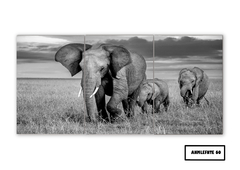 Tríptico simple Elefantes 60 - comprar online