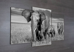 Tríptico escalonado Elefantes 60 - comprar online