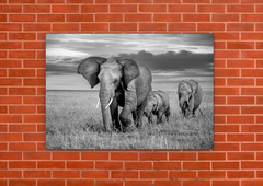Elefantes 60 - tienda online