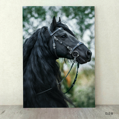 Caballos 61 - comprar online