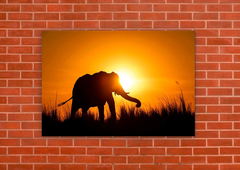 Elefantes 61 - tienda online