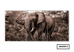 Tríptico simple Elefantes 62 - comprar online