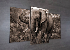 Tríptico escalonado Elefantes 62 - comprar online