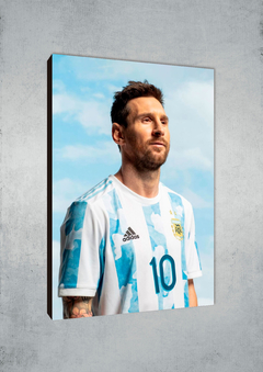 Lionel Messi 6 en internet