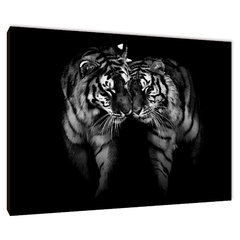 Tigres 65 - comprar online