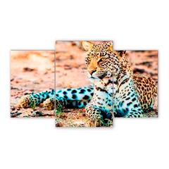 Tríptico escalonado Leopardos 66