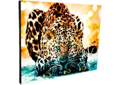 Portallaves de pared Leopardos 67 - comprar online