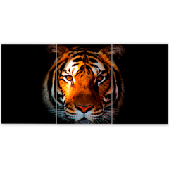 Tríptico simple Tigres 69