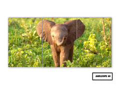 Tríptico simple Elefantes 69 - comprar online