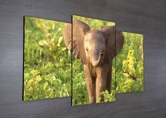 Tríptico escalonado Elefantes 69 - comprar online