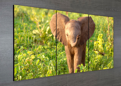 Tríptico simple Elefantes 69 en internet