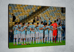 Selección Argentina 70 en internet