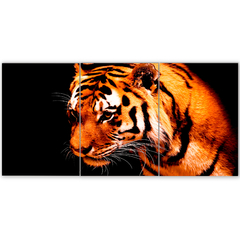 Tríptico simple Tigres 71