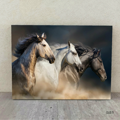 Caballos 71 - comprar online