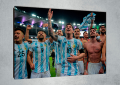 Selección Argentina 72 en internet