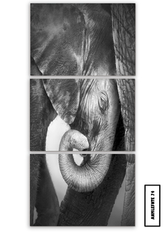 Tríptico simple Elefantes 74 - comprar online