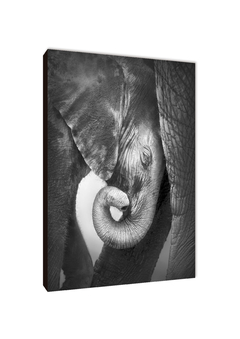Elefantes 74 - comprar online