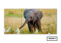 Tríptico simple Elefantes 75 - comprar online