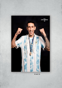 Selección Argentina 75 - comprar online
