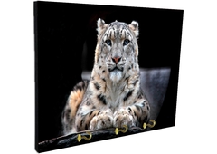 Portallaves de pared Leopardos 78 - comprar online