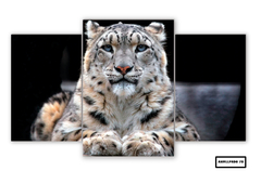 Tríptico escalonado Leopardos 78 - comprar online