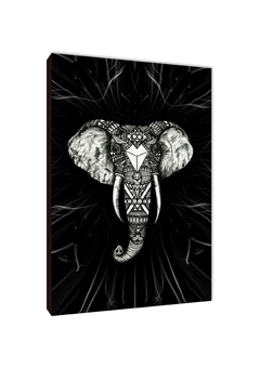 Elefantes 78 - comprar online